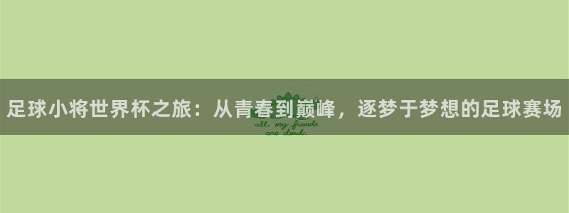 英格兰联赛杯直播：足球小将世界杯之旅：从青春到巅峰，逐梦于梦想的足球赛场