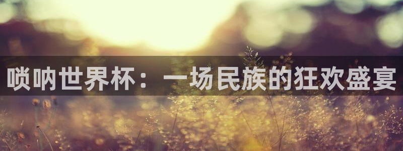 2026世界杯预选赛：唢呐世界杯：一场民族的狂欢盛宴