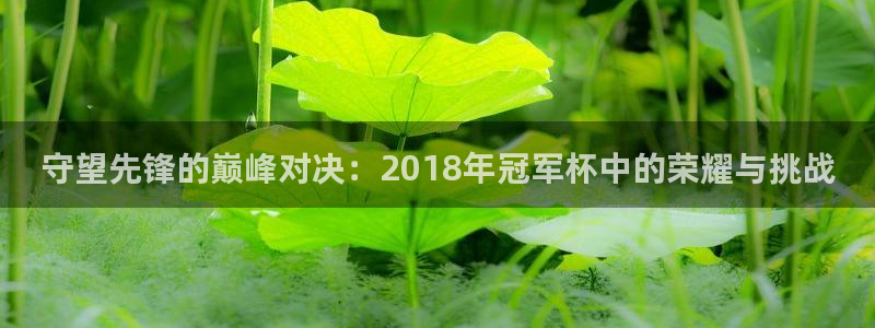 世界杯直播在线观看入口：守望先锋的巅峰对决：2018年冠军杯中的荣耀与挑战