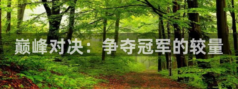 世界杯预选赛：巅峰对决：争夺冠军的较量