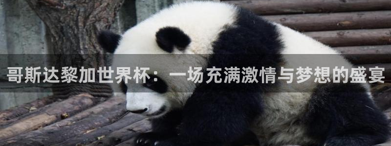 世界直播：哥斯达黎加世界杯：一场充满激情与梦想的盛宴