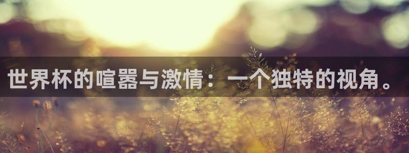 预选赛世界杯：世界杯的喧嚣与激情：一个独特的视角。