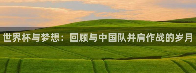世界杯足球2026：世界杯与梦想：回顾与中国队并肩作战的岁月