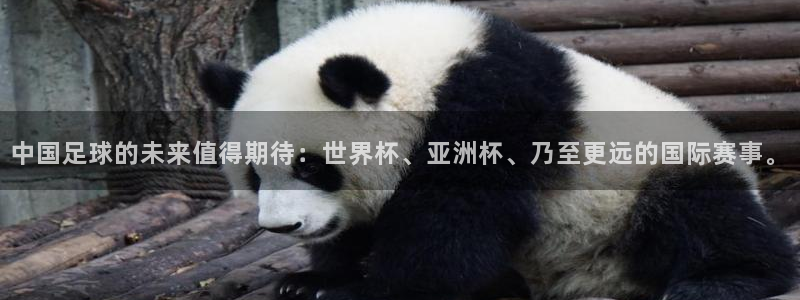 世界杯预选赛：中国足球的未来值得期待：世界杯、亚洲杯、乃至更远的国际赛事。
